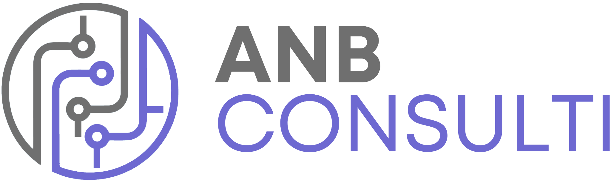 ANB Consulti logo
